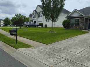 Linda L.'s turf care service result