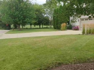 Lisa G.'s grass maintenance service result