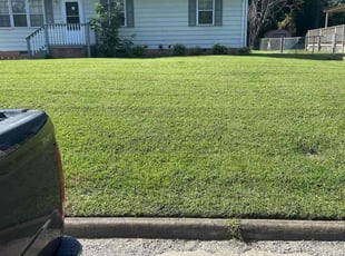 Teresa P.'s lawn care services service result