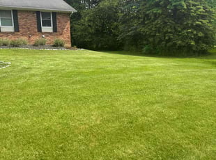 Brian Y.'s lawn care services service result