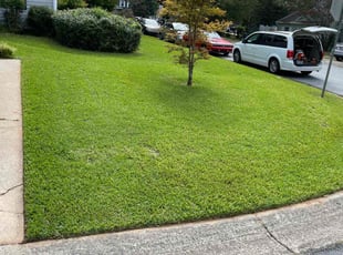 Paula P.'s lawn care services service result
