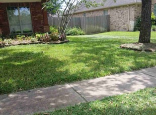 Marko P.'s lawn maintenance service result