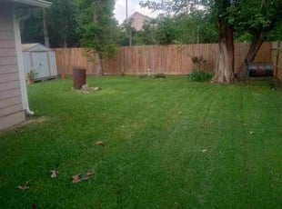 Stan M.'s turf maintenance service result