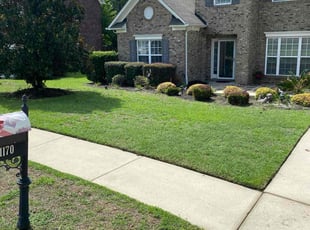 Paul J.'s turf maintenance service result