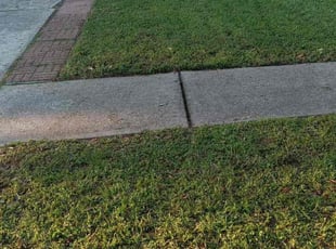 Carolina M.'s lawn maintenance service result