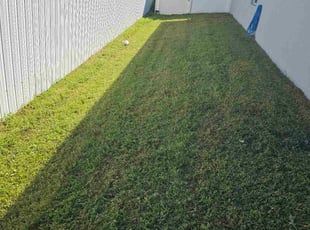 Joshua K.'s lawn care services service result