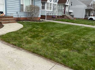 Whitley B.'s Leaf Removal service result