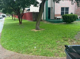 Patrick S.'s grass cutting service result