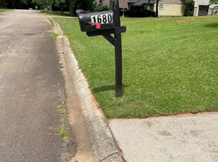 Lewis M.'s grass cutting service result