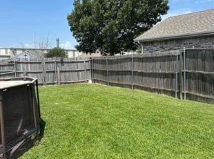 Mercedes W.'s turf care service result