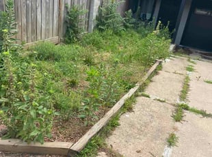 Jeremy R.'s Long Grass Cleanup service result