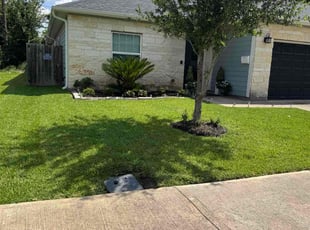 Sandra O.'s grass cutting service result