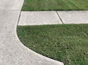 Thomas E.'s lawn service service result