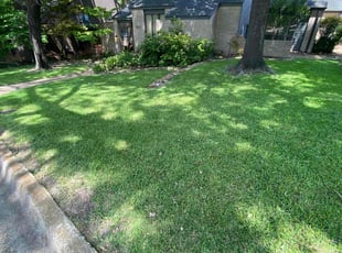 Georgeann F.'s grass cutting service result