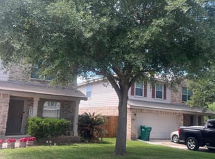 Lauren H.'s lawn care service result