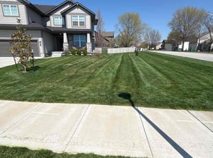 Nikki M.'s grass cutting service result