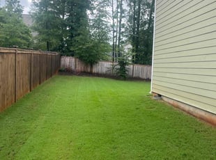 Leslie A.'s lawn service service result
