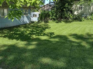 Don B.'s lawn care service result