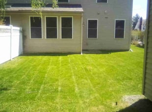 Matthew B.'s lawn maintenance service result