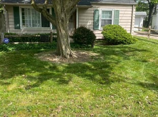 Carolyn M.'s grass cutting service result