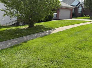 Shawnte B.'s turf care service result