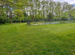 Stephen T.'s turf maintenance service result