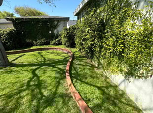 Elizabeth B.'s lawn service service result
