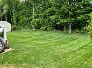 Carolyn K.'s turf maintenance service result