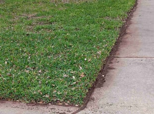 Saida M.'s grass maintenance service result