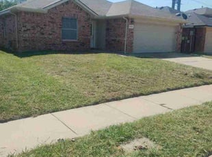 Kiara B.'s lawn maintenance service result