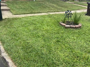 Pam S.'s lawn maintenance service result