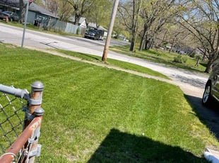 Richard V.'s turf maintenance service result