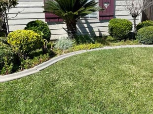 Andrea M.'s Bush Trimming service result