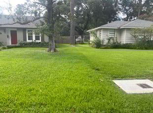 Laron H.'s lawn care services service result