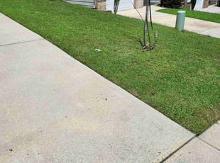 L.P. M.'s lawn care services service result