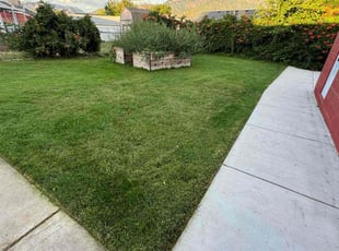 Wendy B.'s grass maintenance service result