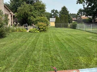 Crissie C.'s grass cutting service result
