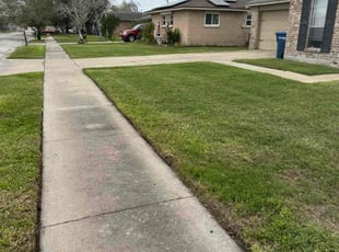 Angela D.'s turf care service result