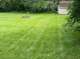 Brandy M.'s grass cutting service result