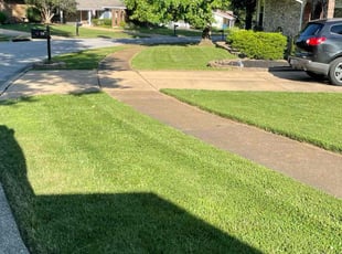 Gretchen S.'s lawn care service result