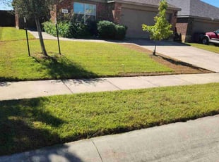 Robert F.'s grass cutting service result