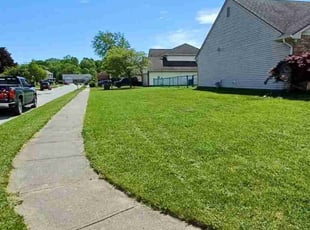 Susan C.'s yard service service result