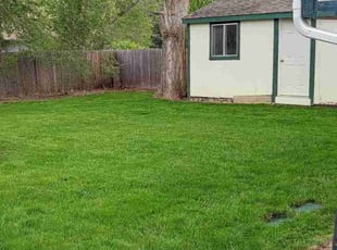 Tara J.'s lawn care service result