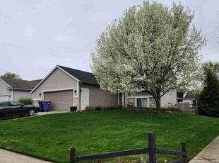 Dan B.'s lawn maintenance service result