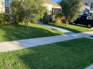 Yolanda C.'s grass maintenance service result
