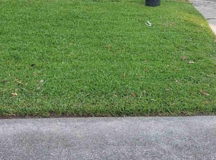 Kellie W.'s lawn care service result