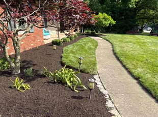 Sabrina C.'s Mulching service result