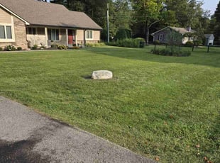 Jason G.'s turf maintenance service result