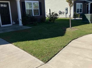 Scott D.'s grass maintenance service result