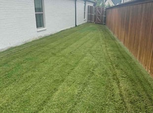 Alberto S.'s lawn care services service result